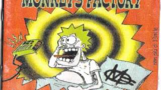 Monkeys Factory - Scatole di Carta
