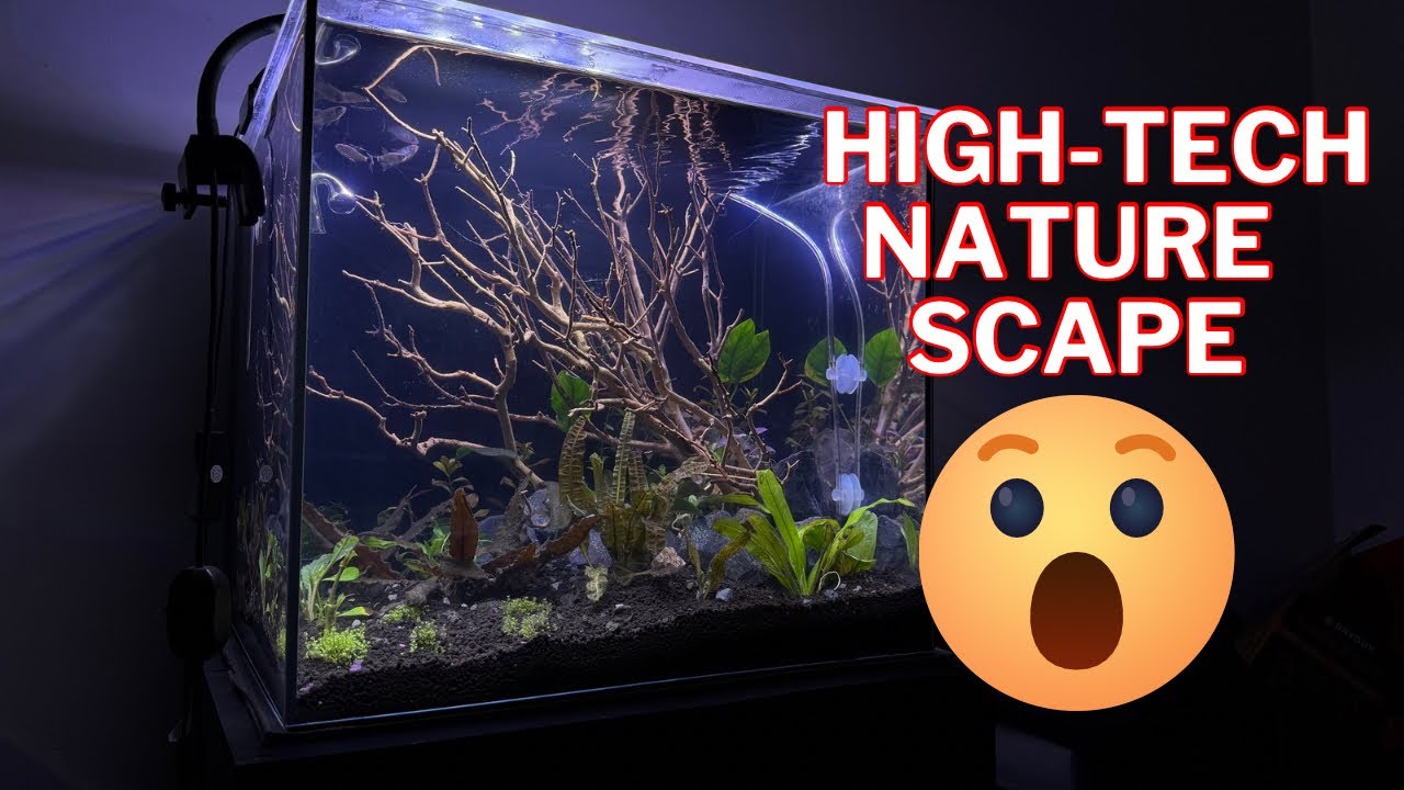 Я создал высокотехнологичный природный акваскейп с нуля.