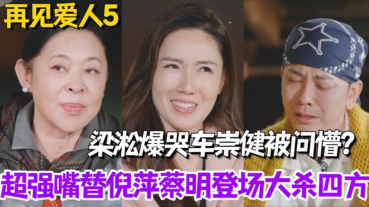 倪萍蔡明超强嘴替登场大杀四方！梁淞爆哭车崇健被问懵？尖锐提问真爽了！#再见爱人5 #李施嬅 #综艺 #婚姻 #蔡明 #倪萍