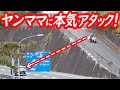 白バイが本気のアタック！狙われたヤンママヴォクシーの末路…【白バイによるスピード違反取り締まり】