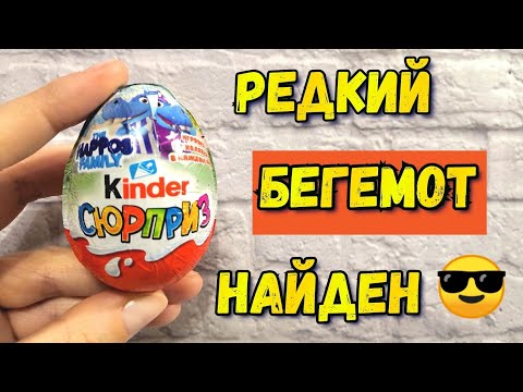 Киндер Сюрпризы БЕГЕМОТИКИ