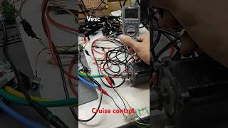 Vesc Cruise Control