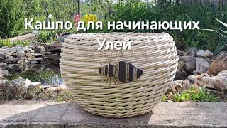 видео: Кашпо для начинающих УЛЕЙ #кашпоизротанга #плетениеизротанга #diy #мкдляначинающих картинка: Кашпо для начинающих УЛЕЙ #кашпоизротанга #плетениеизротанга #diy #мкдляначинающих