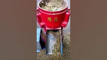 Feed pellet machine; cattle, sheep and chicken animal breeding; pellet machine factory.