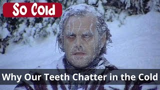 Why do our teeth chatter when we're cold?