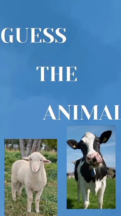 Quiz #trivia #quiz #trend #fyp #views #kids #animals #subscribe #shorts #shortvideo #love #quiztime