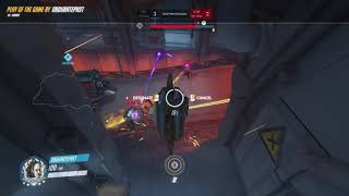 junk quad tire kill 20190709