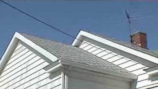 Scams and the Consumer: Truth is Stranger than Fiction