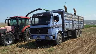 Silaj Hasadı Ankara Kalecik Tümosan 9115 Mercedes Benz 2521