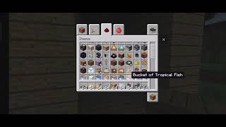 Rtx Lingth Timelapse