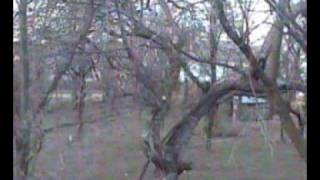 Dlhe Nad Cirochou 2000