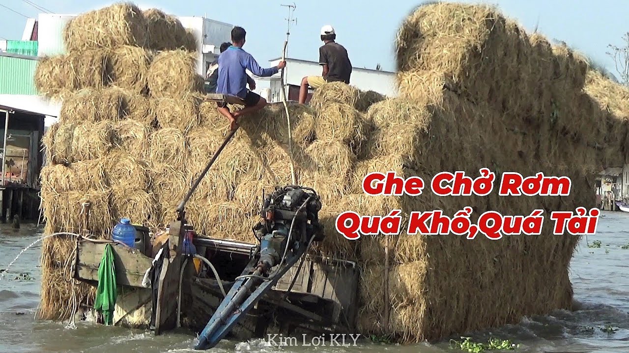 Ghe Chở Rơm Không Còn Chổ Để,Đi Ngược Nước, Qua Khúc Cua, Cực Gắt ...