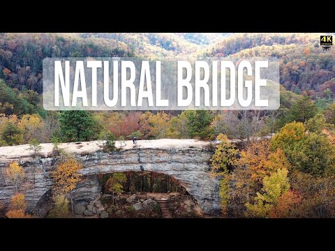 Video: Natural Bridge State Resort Park: The Complete Guide