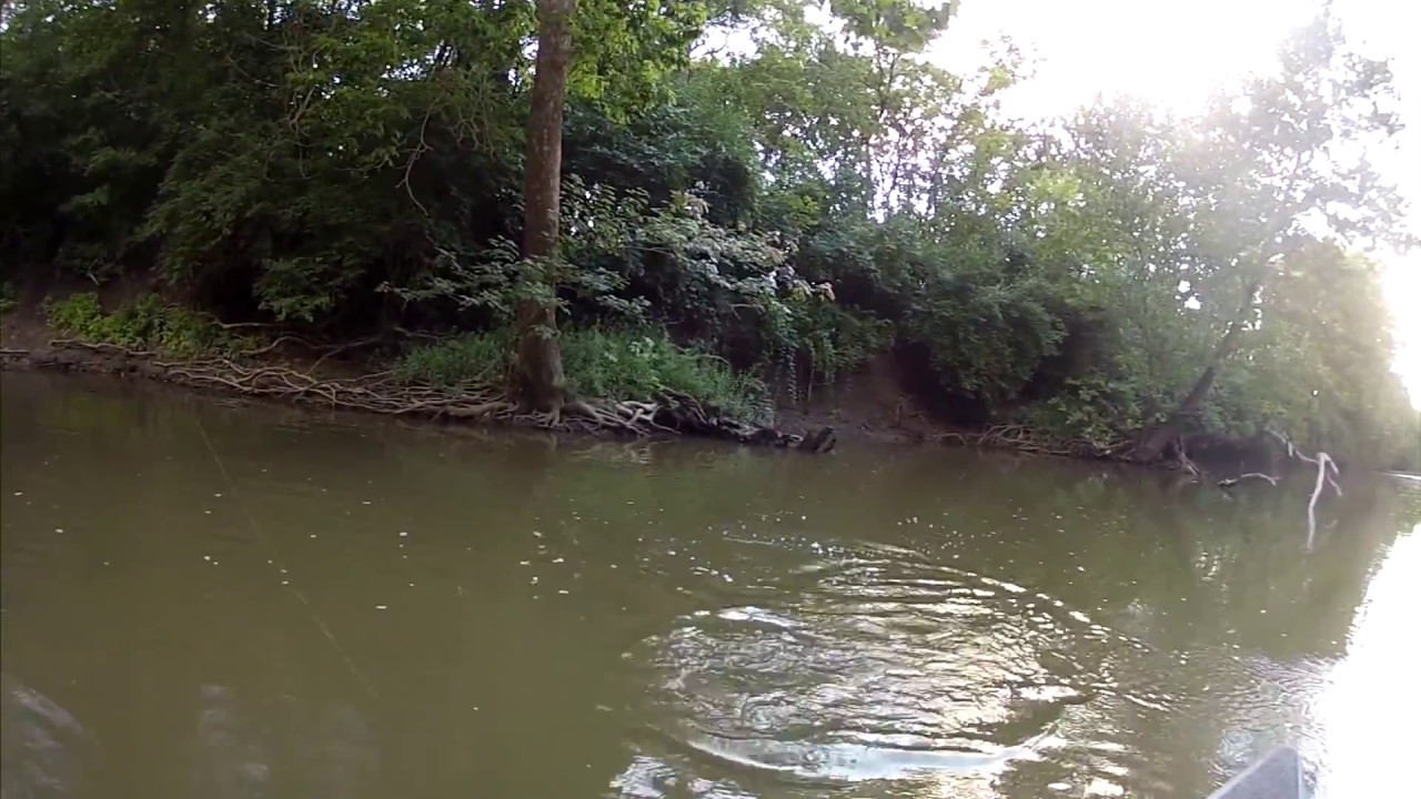 canoe fishing on big darby creek, oh. - youtube