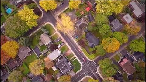 LIDARUAV PROCESS - POINT CLOUD