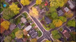 LIDARUAV PROCESS - POINT CLOUD