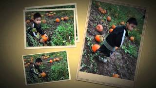 Plumper's Pumpkin Patch