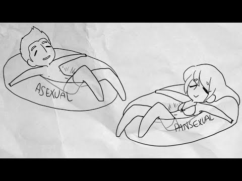 gender-and-sexuality-animation