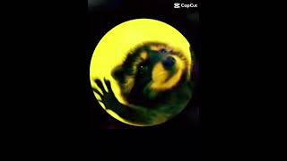 Pedro Porro is calling