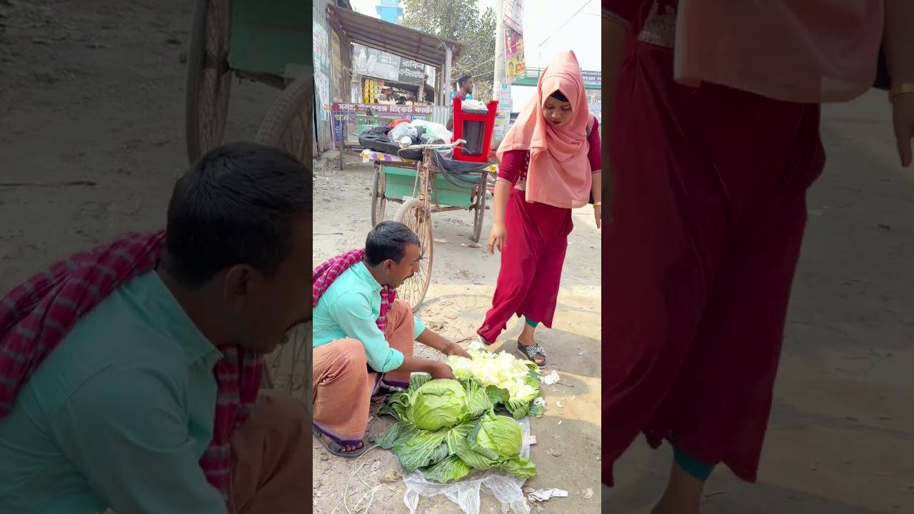 পাতাকপির ভিতরে কপি নাই কেন আজব কথা