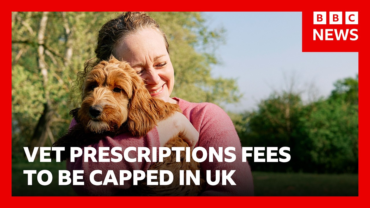 Vet prescription fees to be capped in overhaul to veterinarian sector costs in UK | BBC News