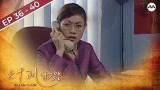 An Ode to Life 三十风雨路 EP36-40 FINALE (FULL EPISODES) | #marathon