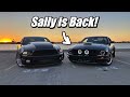 The return of my procharged  cammed 2008 mustang gt sally