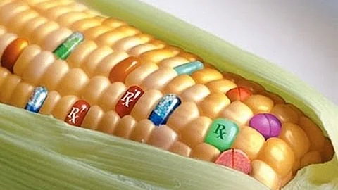 GMOs: Misconceptions and Concerns
