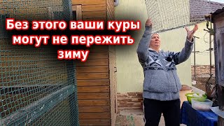 Куры зимой в неотапливаемом курятнике 🐔🐔🐔 Мои куры несутся зимой как летом!