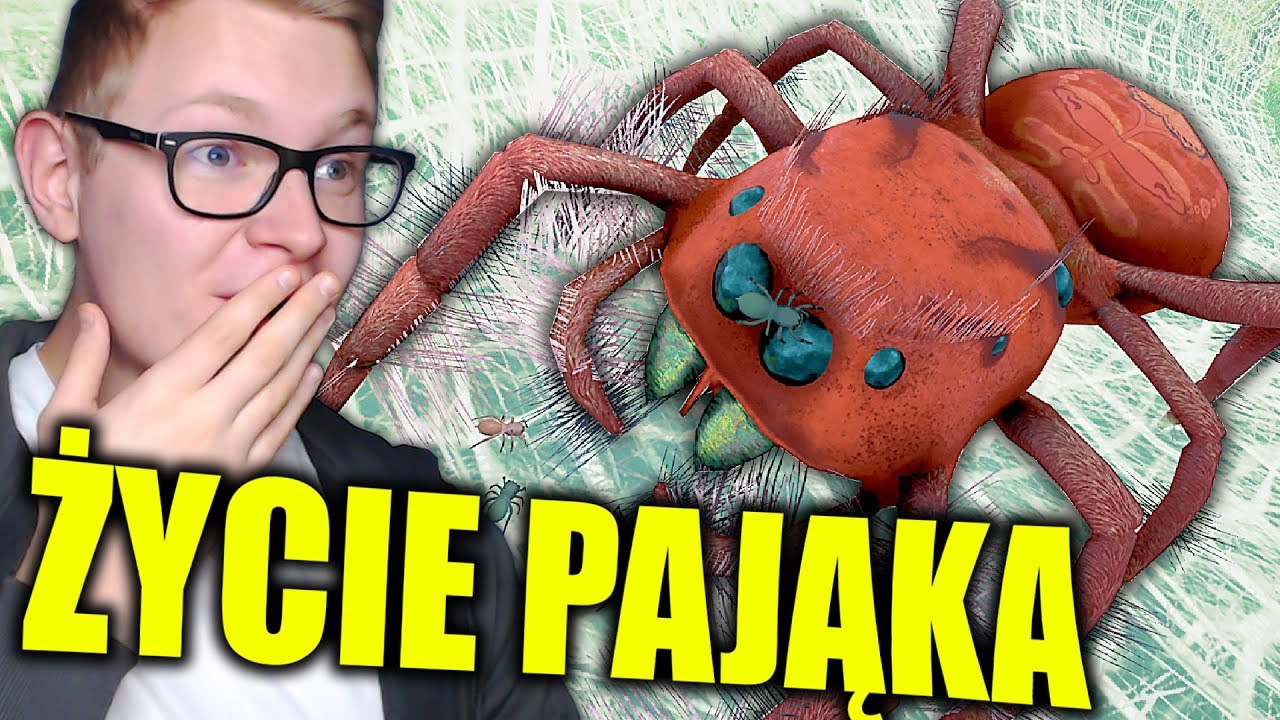ŻYCIE PAJĄKA JEST CIEŻKIE...