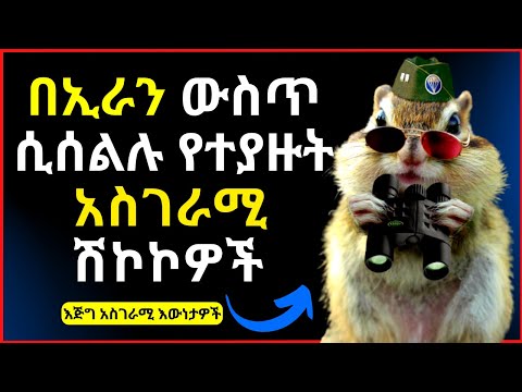 ቪዲዮ: ስለ ሽኮኮዎች እና የሚበር ሽኮኮዎች አስገራሚ እውነታዎች