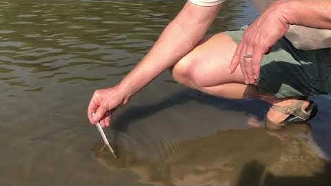 Water Quality Testing