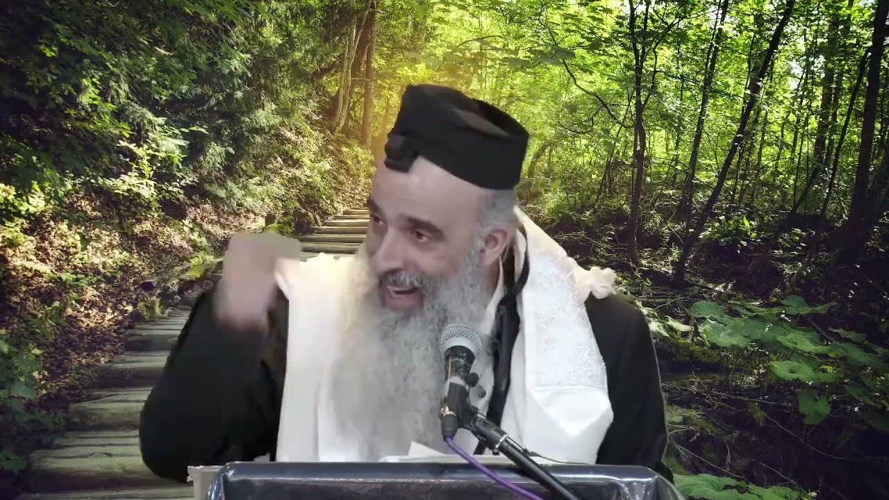 הרב מאיר דוד שמואלי - הויתור והצניעות מצילים ממוות