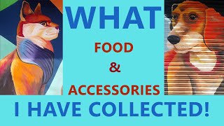 What Food and Accessories I am collecting for My Cats and Birds