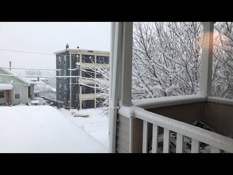 deep blue sea 3 NOVEMBER 27th LIVE MORNING MISCHIEF - SNOW SNOW AND MORE SNOW