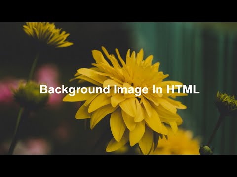 How To Add Background Image In HTML and  CSS | HTML & CSS For Beginners