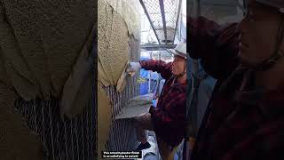 Perfect Wall Plaster Finish
