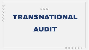 AUD 689 - TRANSNATIONAL AUDIT