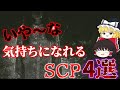 【ゆっくり解説】たった1時間で嫌な気持ちになれるSCP4選!胸糞&一部閲覧注意