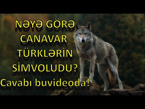 Video: Canavar niyə ulayır?