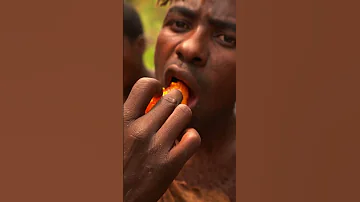 Eating RARE Honey With The Hadza Tribe!