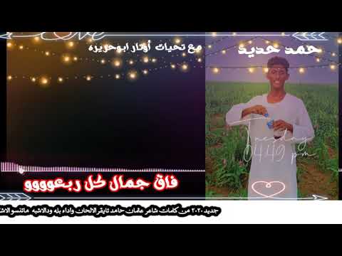اوتار ابوحريره