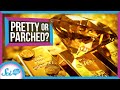 Understanding the Attraction to Shiny Objects