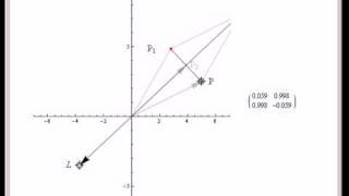 Famous Reflection Matrix in 2D Wealth