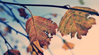 Tom Fahy: Op. 5, Étude No. 16