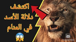 تفسير حلم الأسد في المنام للرجل العازب و المتزوج للمرأة المتزوجة و العازبة  و الحامل #تفسير_الأحلام