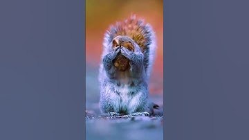 Stop scrolling, take a break #shorts