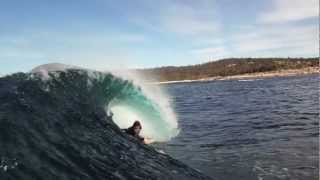 Bicheno fun