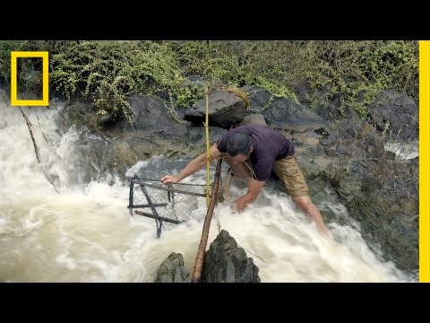 Battling the Current | Primal Survivor