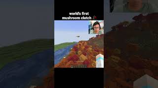 Minecraft Mushroom Clutch Moment